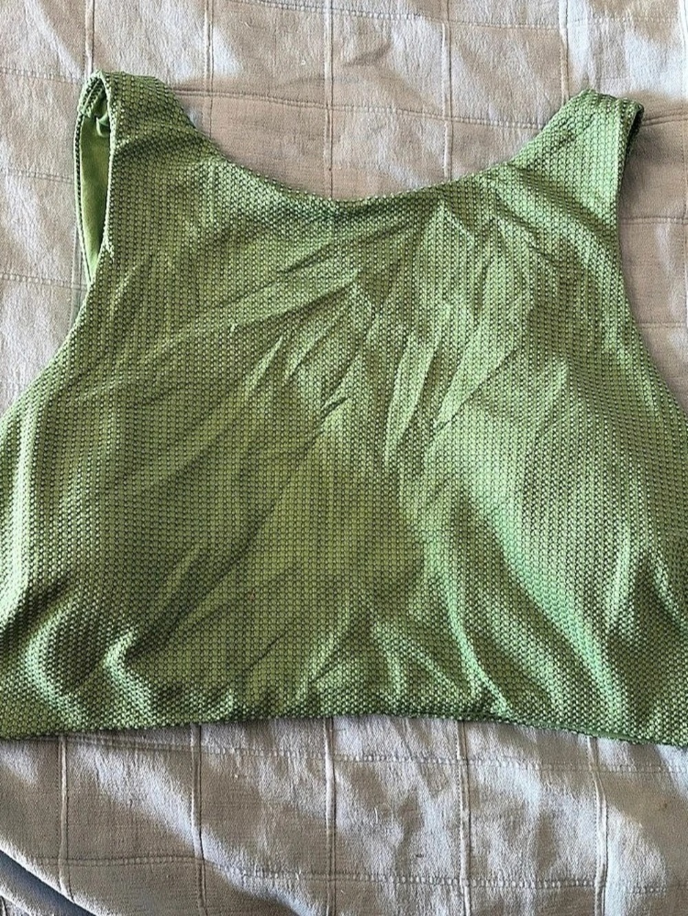 Aerie Textured Bikini Top in Green Size XXL/TG